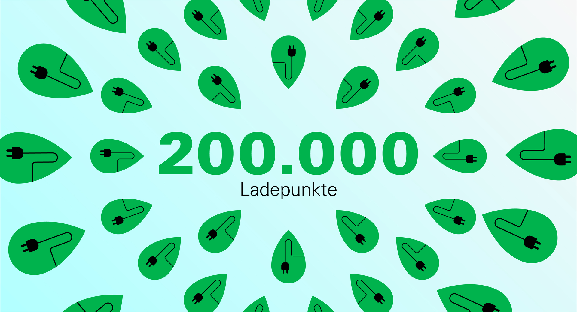 200.000 Laadpunten