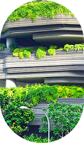 Hausfront mit Bepflanzung im Oval – Umwelt schonen mit Ladelösungen von ABL